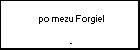  po mezu Forgiel