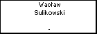 Wacaw Sulikowski