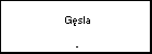  Gsla