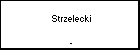  Strzelecki