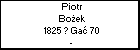 Piotr Boek