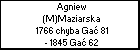 Agniew (M)Maziarska