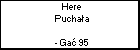 Here Puchaa