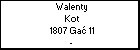 Walenty Kot