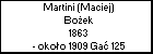 Martini (Maciej) Boek
