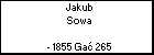 Jakub Sowa