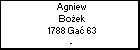 Agniew Boek