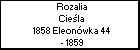 Rozalia Ciela