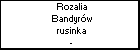 Rozalia Bandyrw