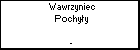 Wawrzyniec Pochyy