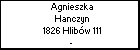 Agnieszka Hanczyn