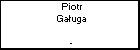 Piotr Gauga