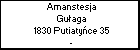 Amanstesja Guaga