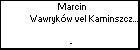 Marcin Wawrykw vel Kaminszczak