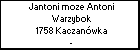 Jantoni moze Antoni Warzybok