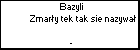 Bazyli Zmary tek tak sie nazywa