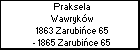 Praksela Wawrykw