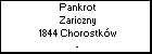 Pankrot Zariczny