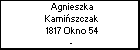 Agnieszka Kamiszczak